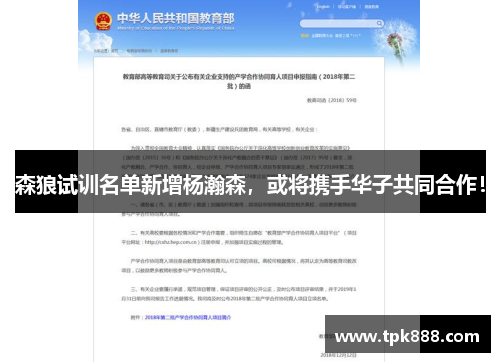 森狼试训名单新增杨瀚森，或将携手华子共同合作！